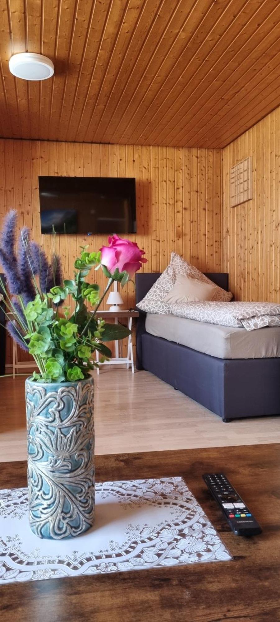 City Apartment Triberg Triberg im Schwarzwald Екстериор снимка